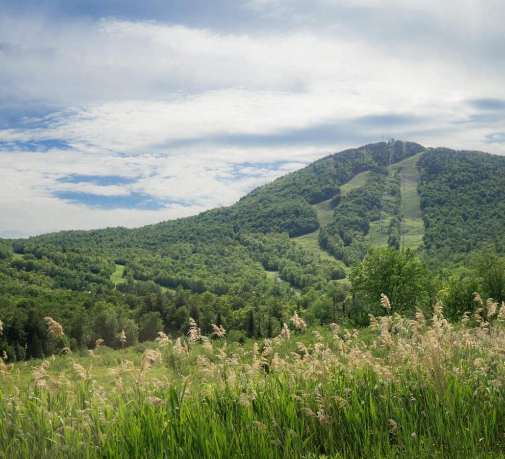 Superbe Condo A 5 Minutes Du Mont Orford Zewnętrze zdjęcie